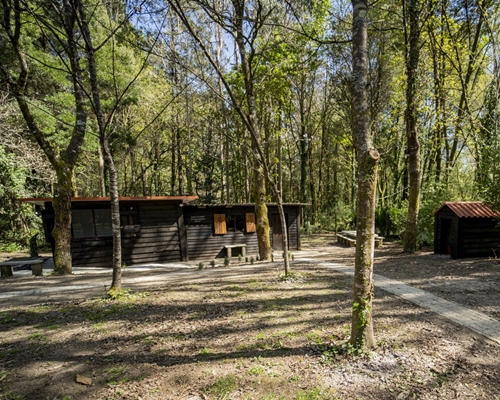 Alquiler Terreno con Cabaña